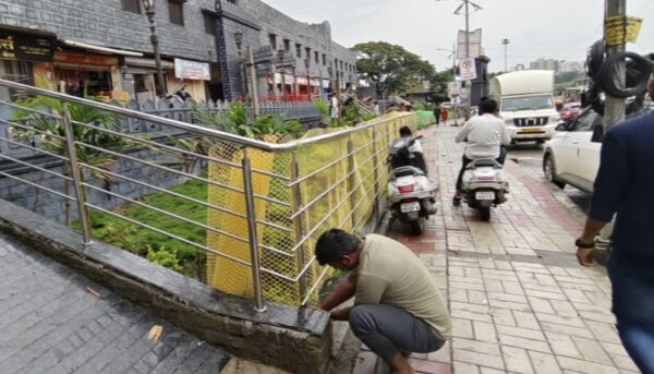शिवसृष्टीतील झाडांना मोकाट जनावरांचा त्रास; पालिकेने घेतली तत्काळ दखल